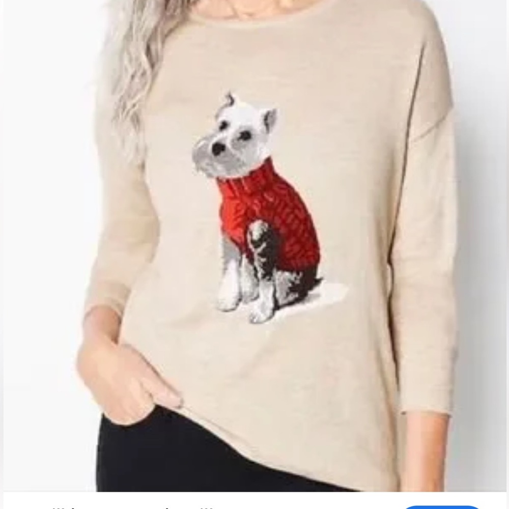 J.Jill sweater